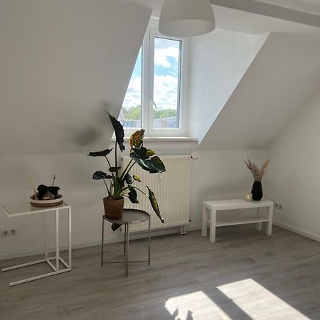 Cozy Work And Stay Pretty Home Chemnitz Zewnętrze zdjęcie