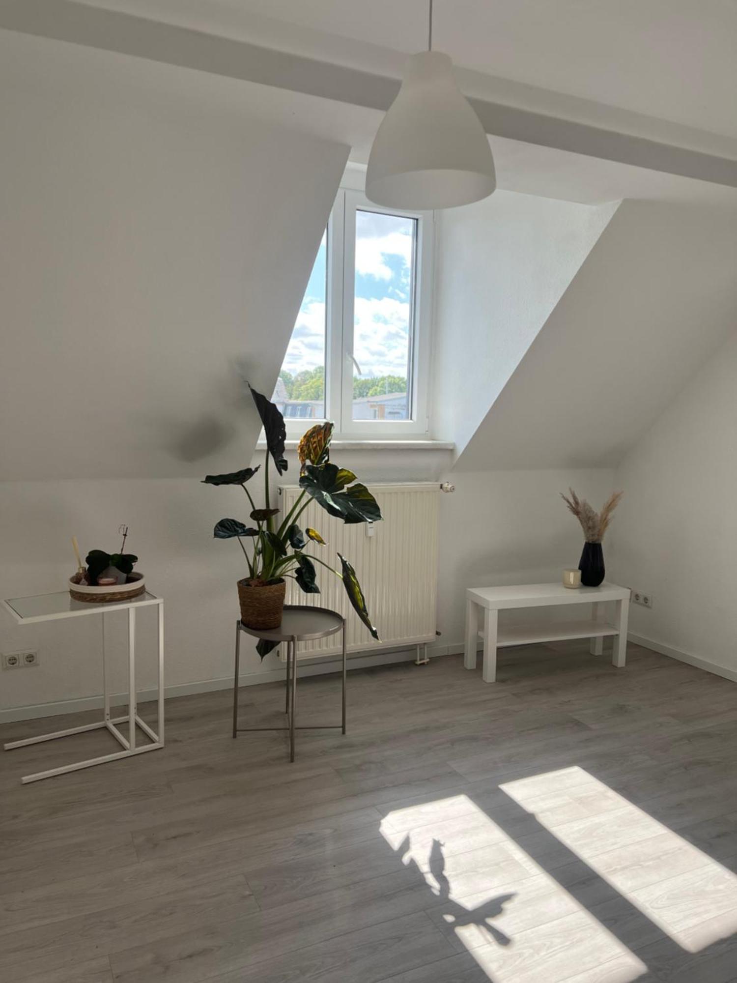 Cozy Work And Stay Pretty Home Chemnitz Zewnętrze zdjęcie